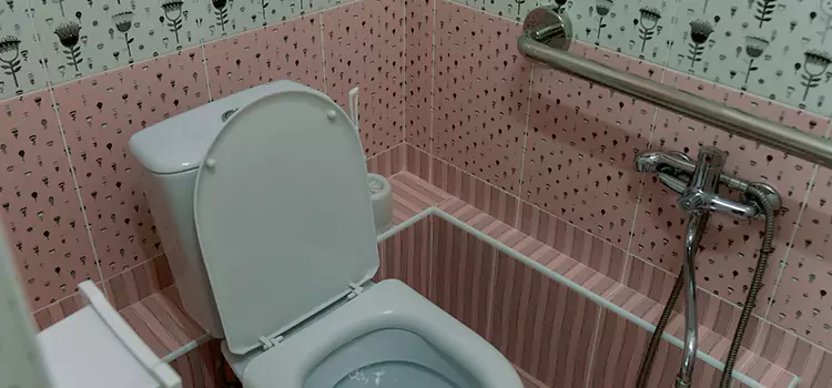 Meeting Diverse Needs With Accessible Restroom Solutions in Warren, OH